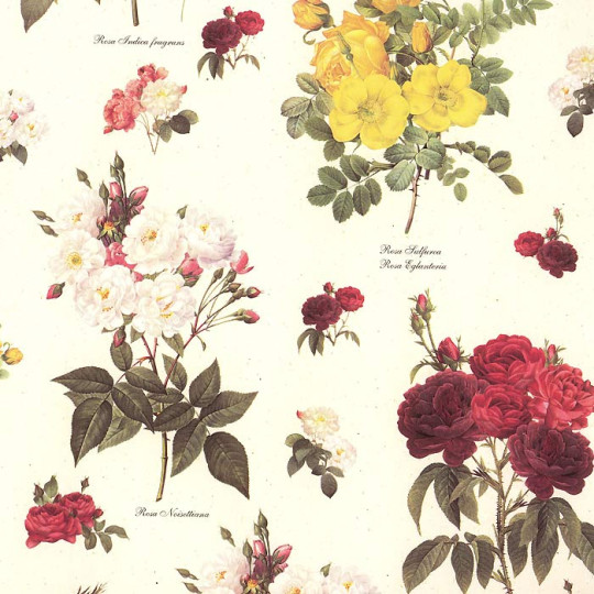 Mixed Rose Bouquets Italian Paper ~ Tassotti